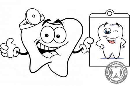 Факты о реставрации зубов